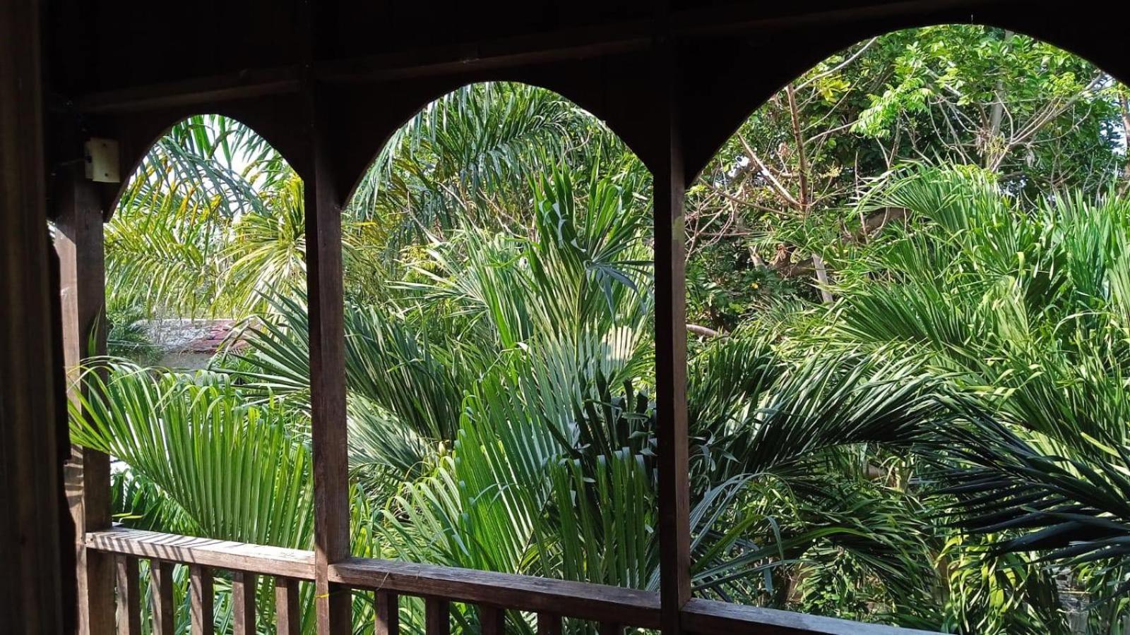 T&T - Tatty And Tony Guesthouse Negril Room photo