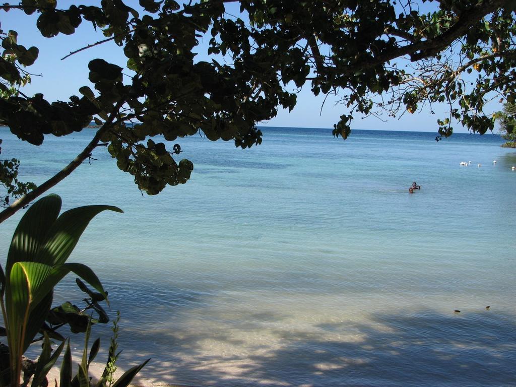 T&T - Tatty And Tony Guesthouse Negril Room photo